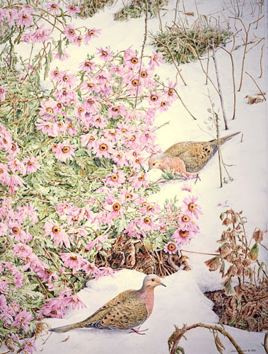 Mourning Doves, Private collection, New-Brunswick
