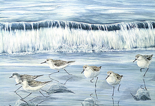 Sanderlings, Private collection, Switzerland