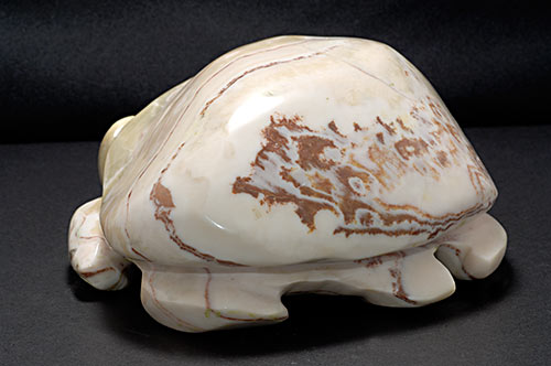 Turtle, Roland Nicolas, Gaspesian Marble