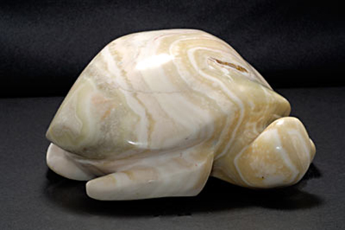 Turtle, Roland Nicolas, Gaspesian Marble